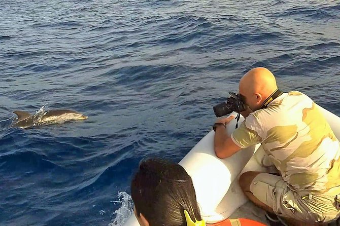 Sustainable Dolphin Watching Tour With Marine Biologist  - Sicily - Cancellation Policy