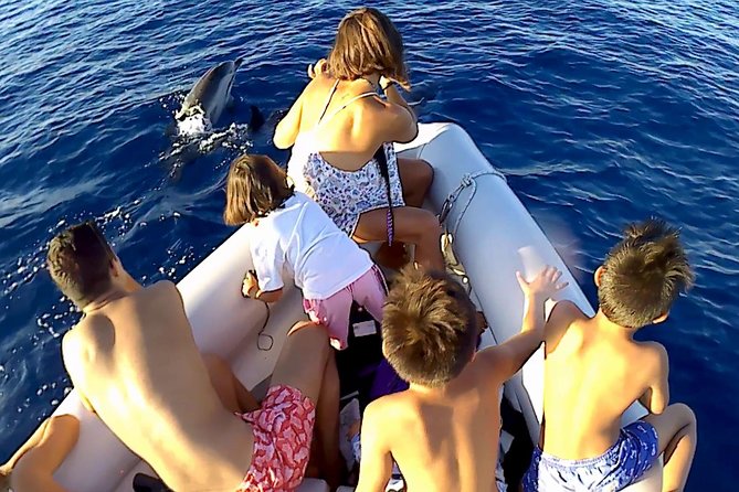 Sustainable Dolphin Watching Tour With Marine Biologist  - Sicily - Background