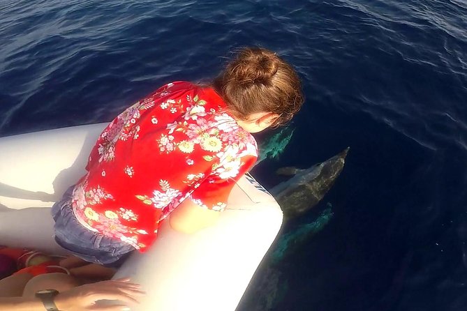 Sustainable Dolphin Watching Tour With Marine Biologist  - Sicily - Directions