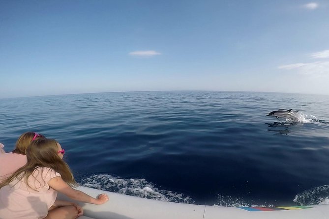 Sustainable Dolphin Watching Tour With Marine Biologist  - Sicily - Common Questions