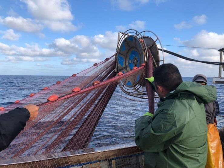 Sustainable Fishing Tourism in the Egadi Islands With Lunch on Board - Activity Details