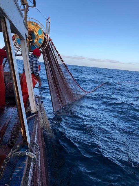 Sustainable Fishing Tourism in the Egadi Islands With Lunch on Board - Inclusions