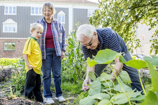 Sustainable Stockholm Tour - Recycling Revolutions in Stockholm