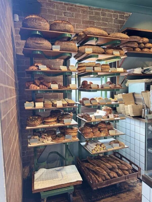 Sustainable Sydney Tours - eco conscious collective Newtown - An In-Depth Look at the Tour Itinerary