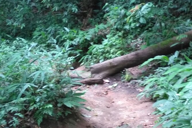 Suthep Temple and Monthathan Waterfall Adventure Trail From Chiang Mai - Exciting Adventure Trail: Experience Thrills and Challenge