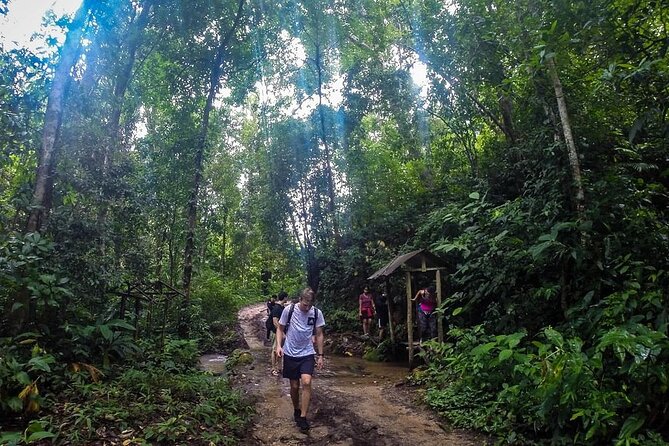 Suthep Temple and Monthathan Waterfall Adventure Trail From Chiang Mai - Common Questions