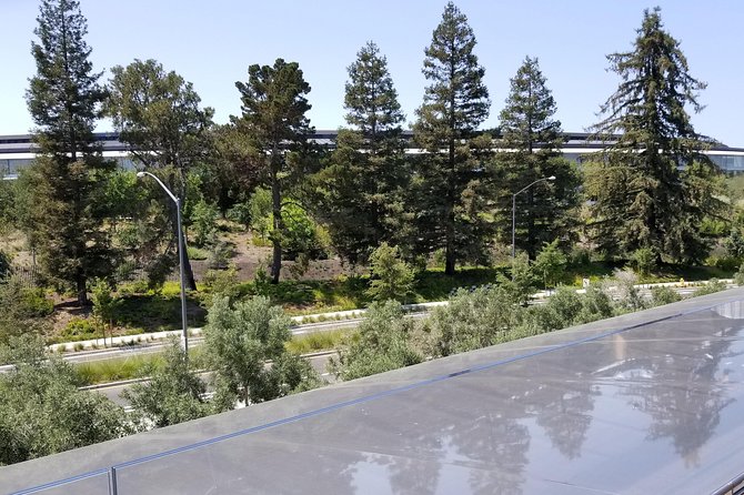 SUV Tour to Silicon Valley Including Stanford Walking Tour - Service Animals Allowed