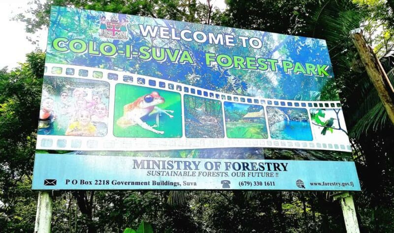 Suva Cruise Ship Tour - Final Thoughts: Is This Tour Worth It?