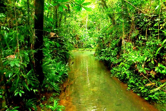 Suva Customized Tour- Private - Tour Details