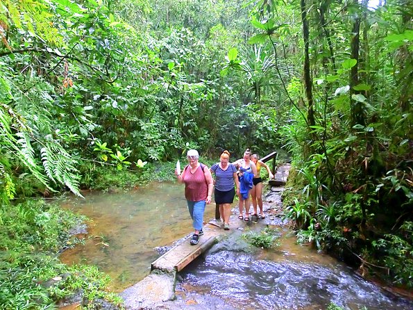 Suva Customized Tour- Private - Accessibility and Fitness Level
