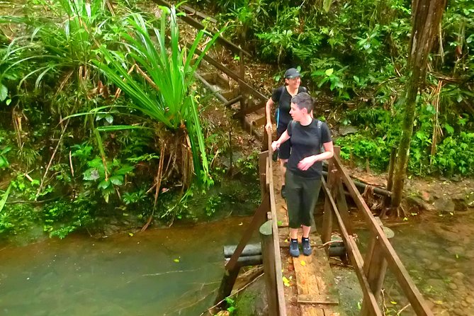 Suva Customized Tour- Private - Cancellation Policy