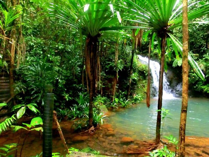 Suva: Fijian Nature and Waterfall Tour - Quick overview
