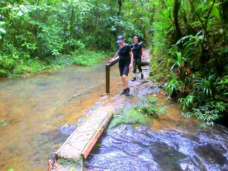 Suva: Fijian Nature and Waterfall Tour - Waisila Falls and swimming spots