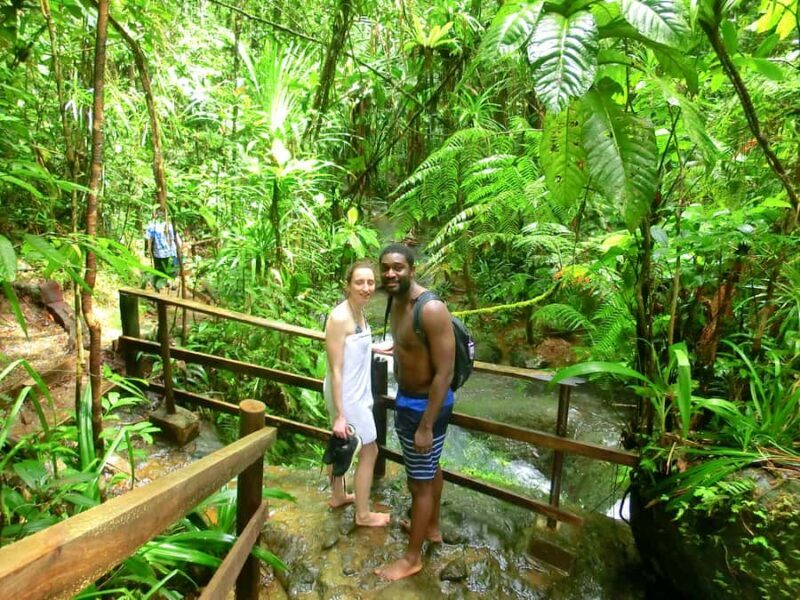 Suva: Fijian Nature and Waterfall Tour - Tips for the best experience
