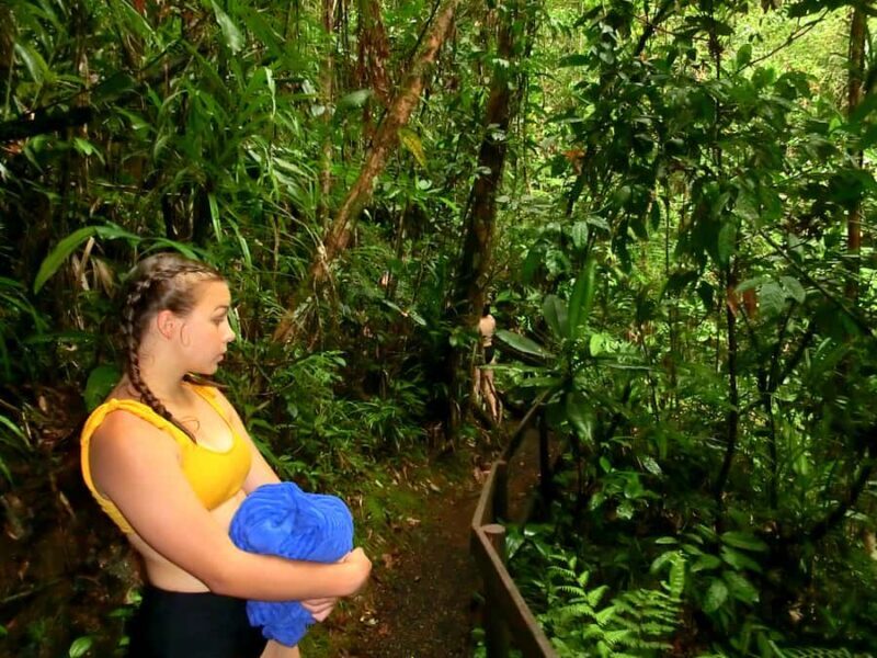 Suva: Fijian Nature and Waterfall Tour - The private guide advantage