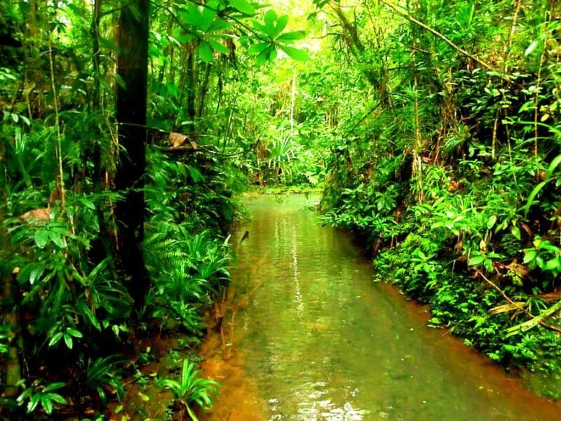 Suva: Fijian Nature and Waterfall Tour - Practical considerations