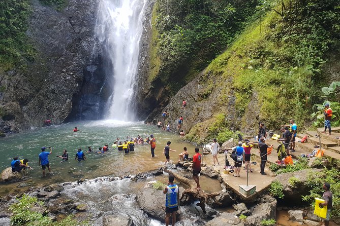 Suva Shore Excursion - Viator and Tripadvisor Reviews