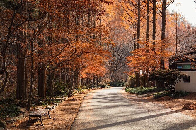 Suwon Hwaseong Fortress & Jangtaesan Full-Day Tour: Autumn Leaves - Introduction