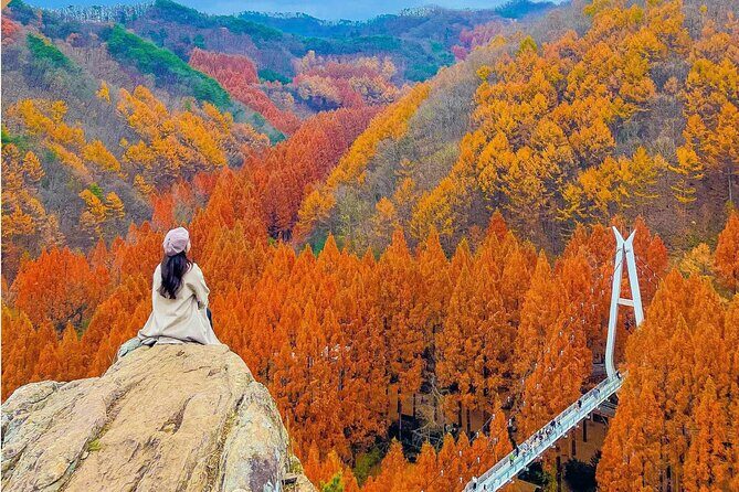 Suwon Hwaseong Fortress & Jangtaesan Full-Day Tour: Autumn Leaves - The Experience and Its Value