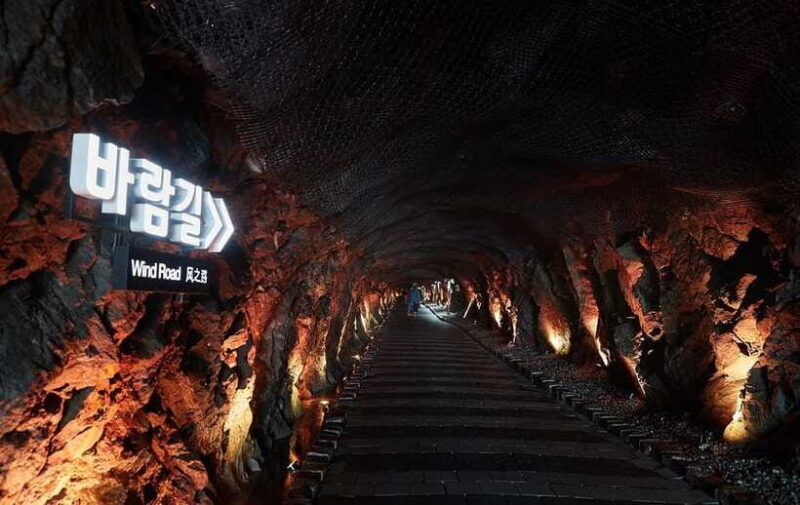 Suwon Hwaseong, Gwangmyeong Cave, & Starfield Library Trip - Who This Tour Is Perfect For