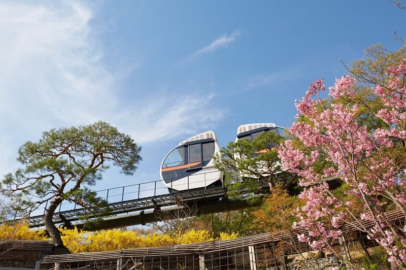 Suwon Join-in Day Tour: Journey Through Time to Hwaseong Fortress - The long ride from Seoul, and what the price buys