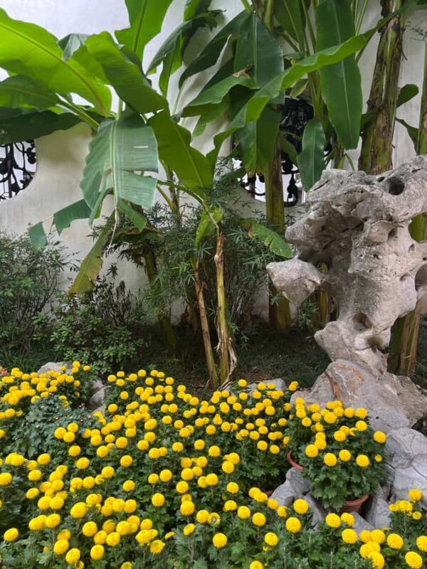 Suzhou: City Walking Tour with Breakfast & Lunch - Final Thoughts: Who Will Love This Tour?