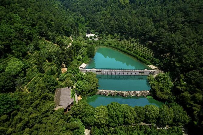 Suzhou Eco Village Private Day Tour With Lunch and Fruit Picking Option - What To Expect
