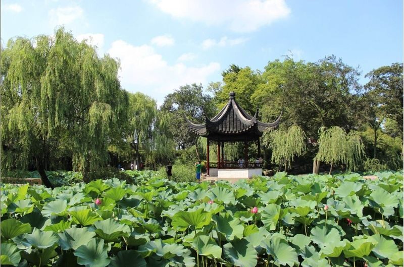 Suzhou Humble Administrators Garden + Zhouzhuang Water Town + Hanshan Temple + Tiger Hill 1-Day Tour - Lunch: a short break, with the bill separate