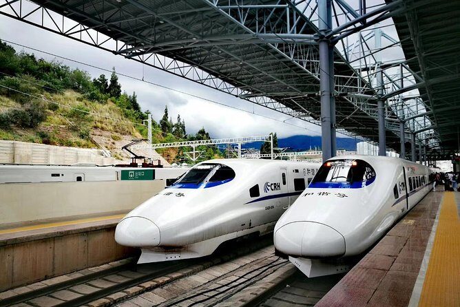 Suzhou Private Departure Transfer: Hotel to Railway Station - Pricing and Value  