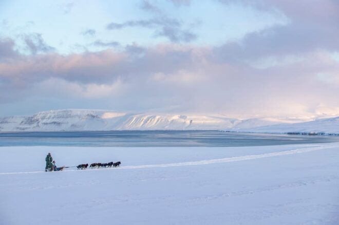 Svalbard: Dog Sledding and Northern Lights Tour With Hut … - Kennel Visit and Excursion