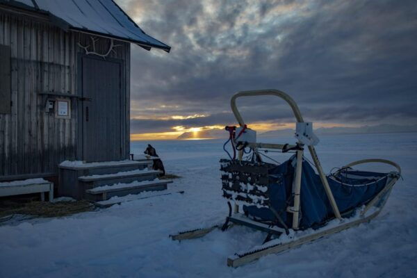 Svalbard: Dog Sledding and Northern Lights Tour With Hut … - Safety and Guidance