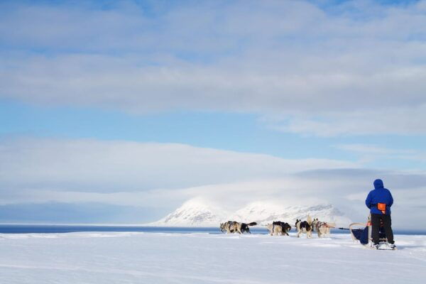 Svalbard: Dog Sledding and Northern Lights Tour With Hut … - Frequently Asked Questions