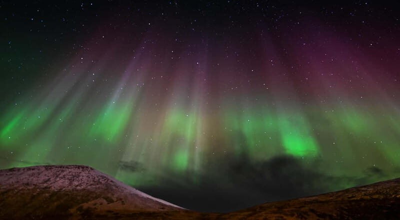 Svalbard: Northern Lights Photography Tour with local expert - The Experience: What You Can Expect