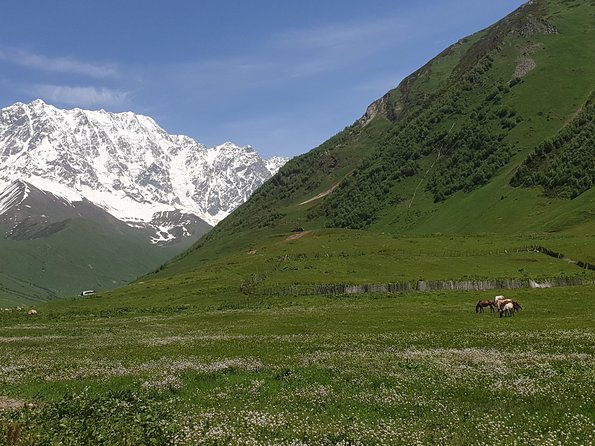 Svaneti - Mestia, Ushguli - 3 Nights of Wonder - Travel Tips