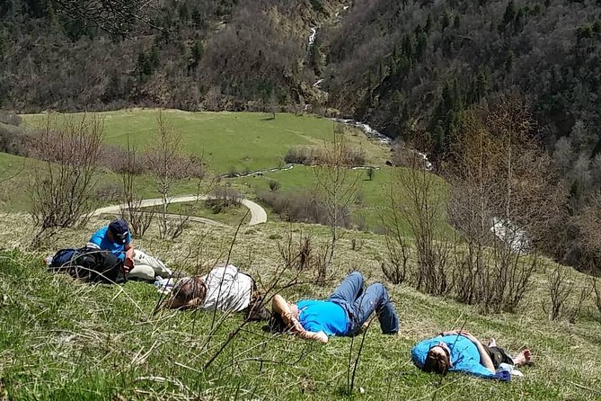 Svaneti Trek Mestia Ushguli 4 Days - Accommodations and Inclusions