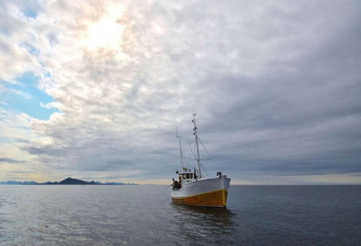 Svolvær: Fishing Trip on the Lofoten Sea - Booking Information