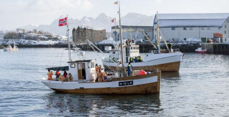 Svolvær: Fishing Trip on the Lofoten Sea - Fishing Experience