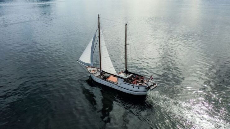 Svolvær: Lofoten Islands Fishing Day Trip & Cruise W/ Lunch - Tour Itinerary Overview