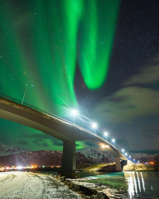 Svolvær: Lofoten Northern Lights Hunt by Van With Snacks - Experience Highlights