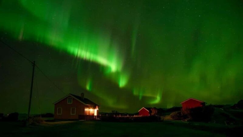 Svolvær: Northern Lights Tour with Hot Drinks & Photos - The Experience: From Svolvær to the Arctic Sky