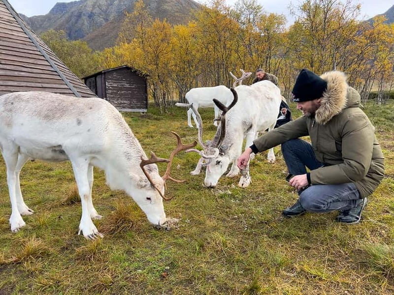 Svolvær: Sami Culture and Reindeer Experience - Good To Know