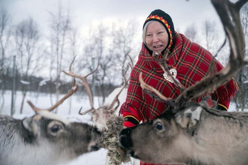 Svolvær: Sami Culture and Reindeer Experience - Why This Tour Stands Out
