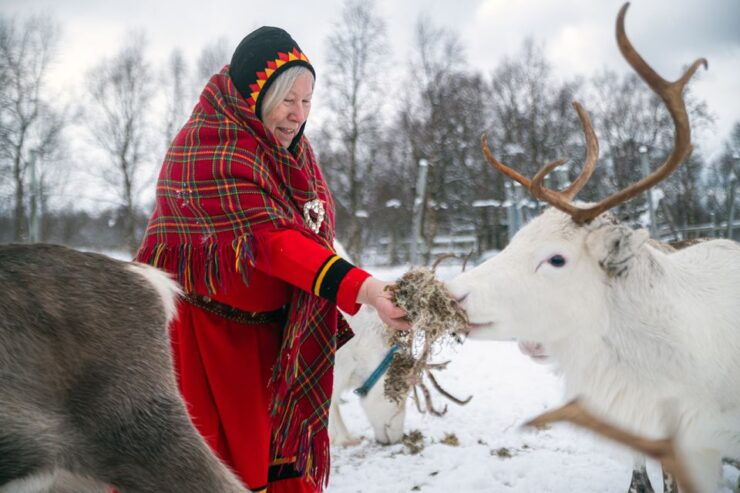 Svolvær: Sami Culture and Reindeer Trip With Fire and Stew - Experience Highlights