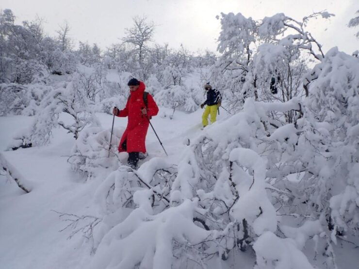 Svolvaer: Snowshoeing Half Day - Activity Details