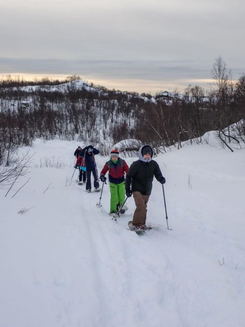 Svolvaer: Snowshoeing Half Day - Experience