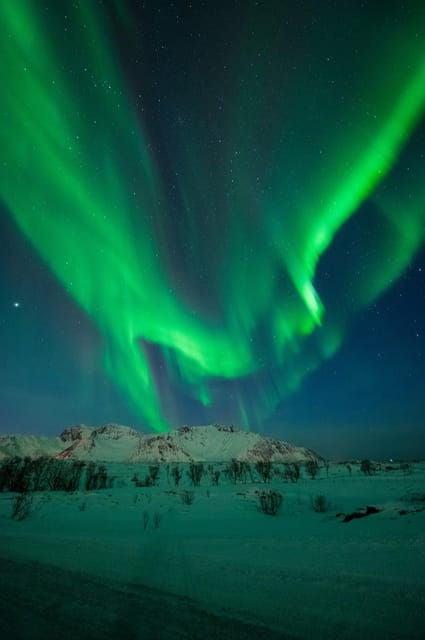 Svolvær: Ultimate Aurora Hunt - FAQ