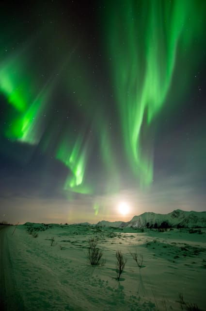 Svolvær: Ultimate Aurora Hunt With Northern Lights Warranty - Expertise and Commitment
