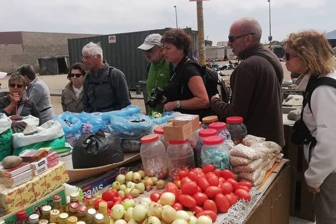 Swakopmund Historical Local Cultural Experience Day Tour for Cruise Ships - Convenient Logistics