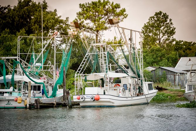 Swamp and Bayou Sightseeing Boat Tour With Transportation From New Orleans - Common Questions