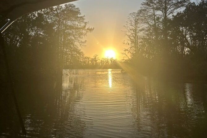 Swamp - Eco - Cruise and Walking Tour - Introduction: An Authentic Swamp Adventure in Mississippi